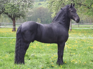 Keimpe