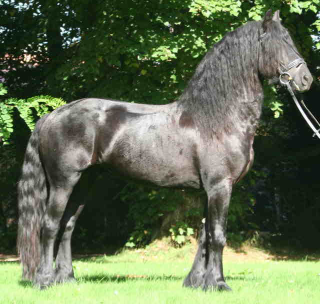 Klingsor